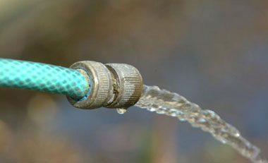 watering bromeliads with a hose